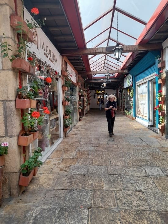 Dans les allées du centre commercial