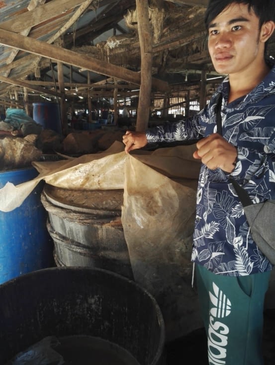 Après 6/7 mois de macération