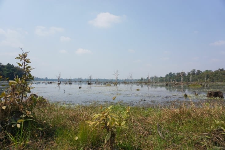 Passage dans le marais pour rejoindre le temple