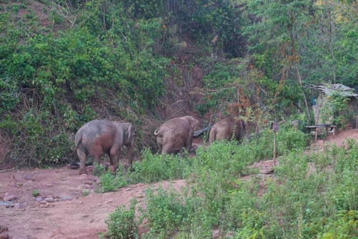 En route pour se rincer