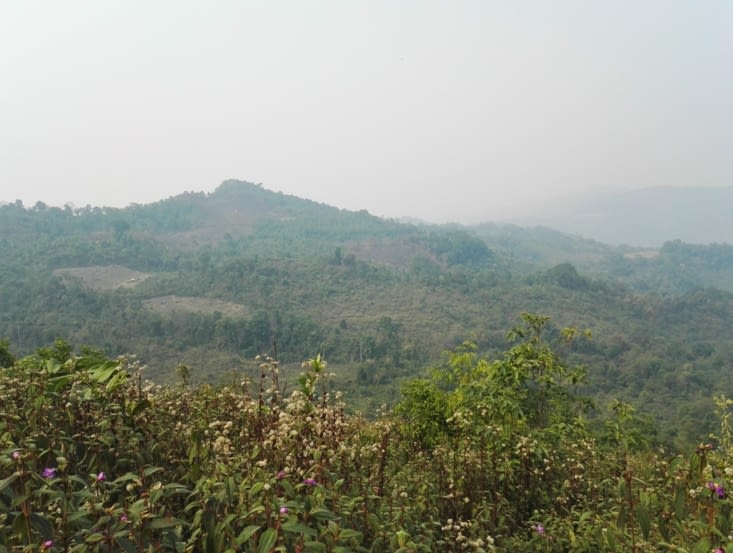 Parcelles brûlées dans le paysage