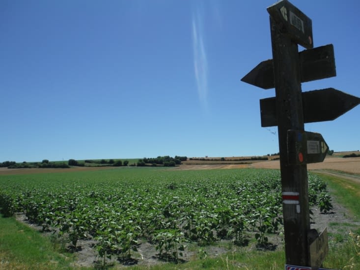 Des champs à perte de vue...