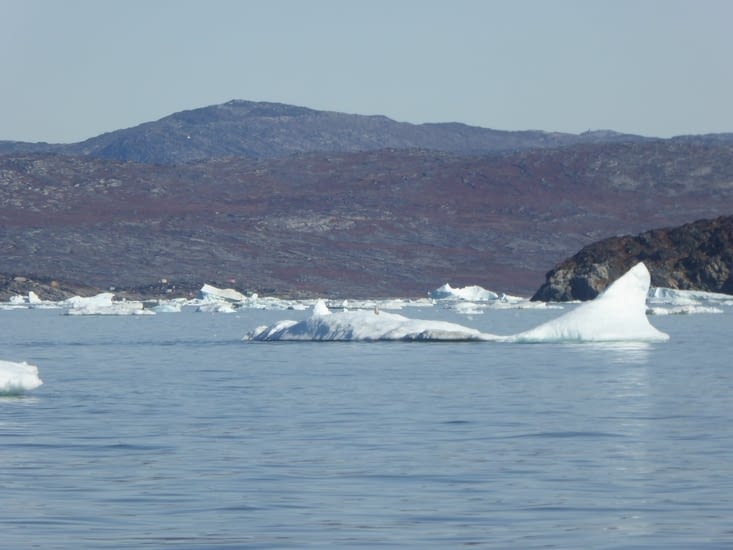 Non, ce n'est pas un gros poisson gelé, mais un iceberg