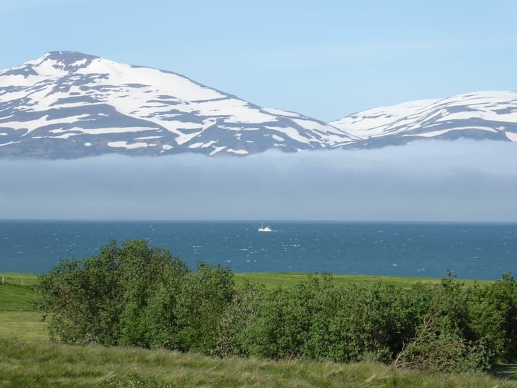 Bande de brume sur le fjord