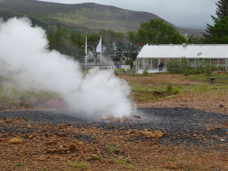Le geyser de Hveragerði