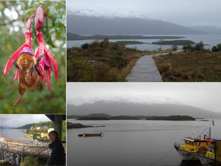 Puerto Eden ou la "ville" du centre de la Patagonie