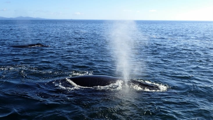L'odeur dégagée par l'évent est terrible !