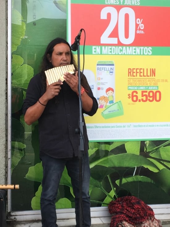 Un descendant mapuche pour la photo!!