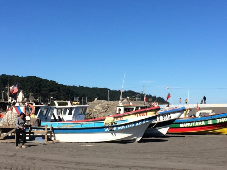 Visite port de peche