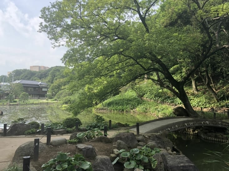 Découverte d'un jardin japonais