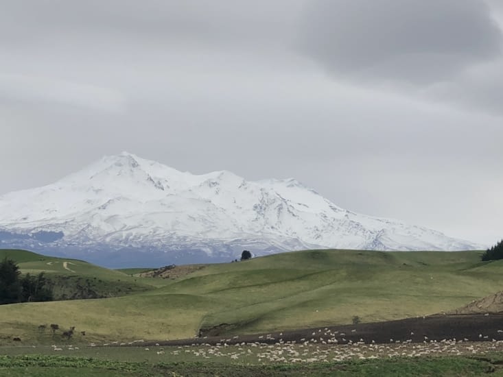 Un beau paysage néo-zélandais