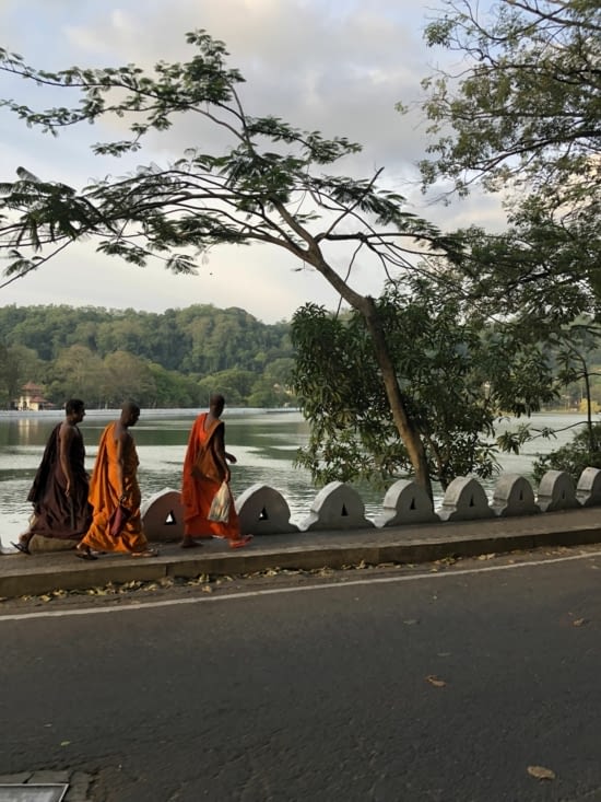 Des moines au bord du lac de Kandy