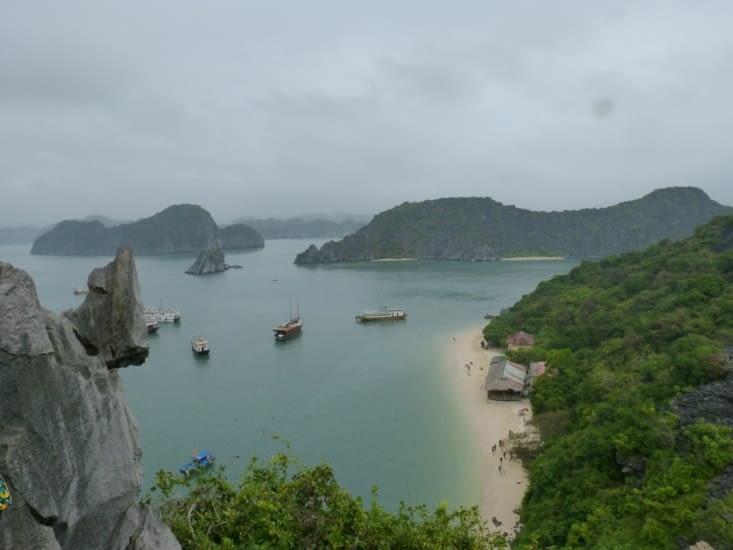 exploration de l'île aux singes