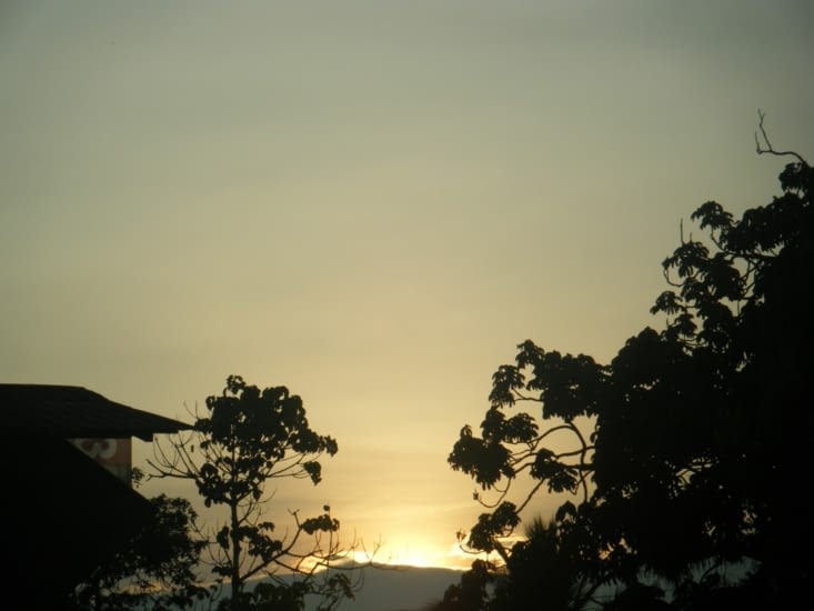 le soir tombe sur la forêt