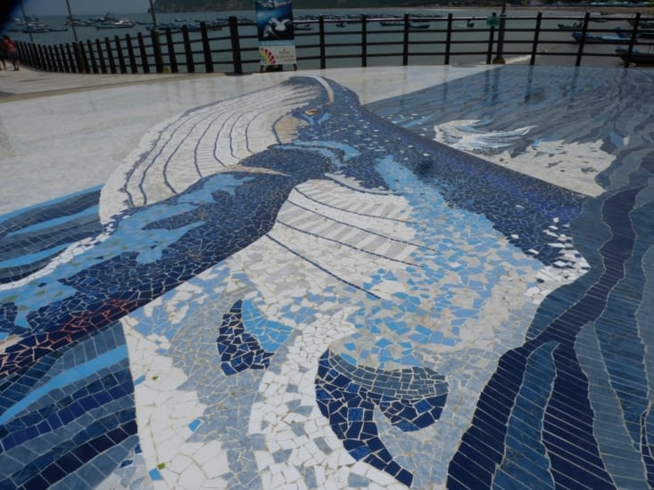 la baleine ,l'emblème de Puerto Lopez. Elles viennent pour la reproduction
