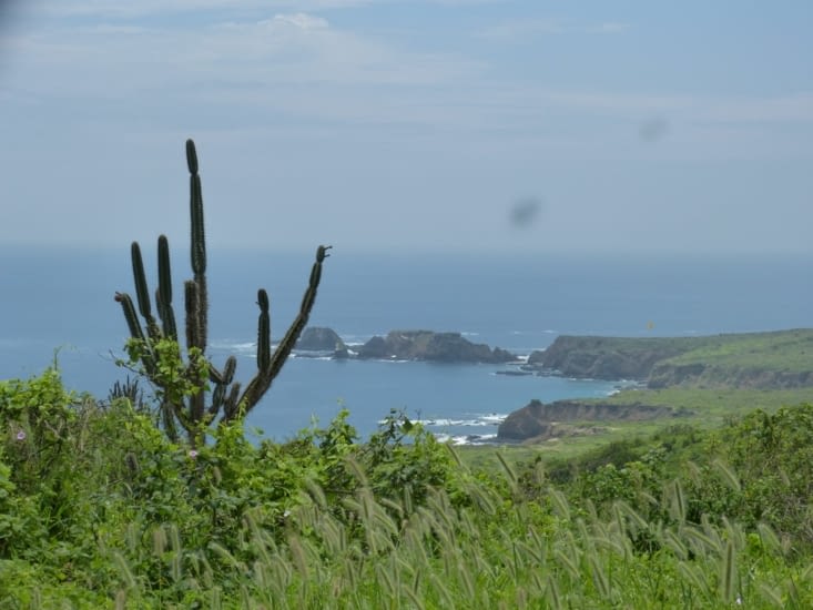Vue de l'île dont toute une partie est interdite pour ne pas déranger certaines