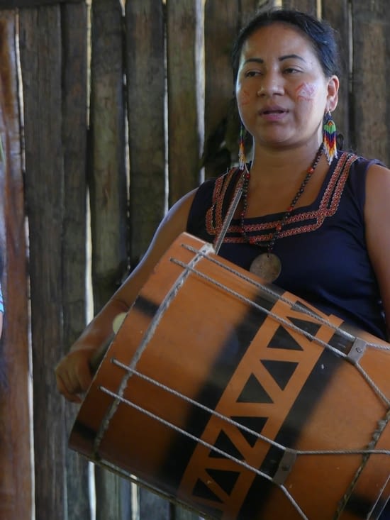 autre instrument le bongo