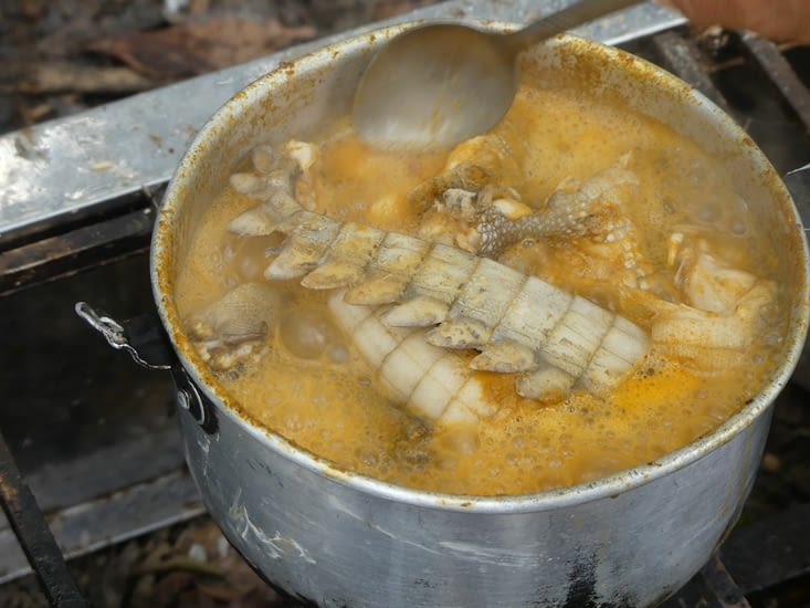 Bety a cuisiné le caÏman nain pêché hier à la lagune Zancudococha.