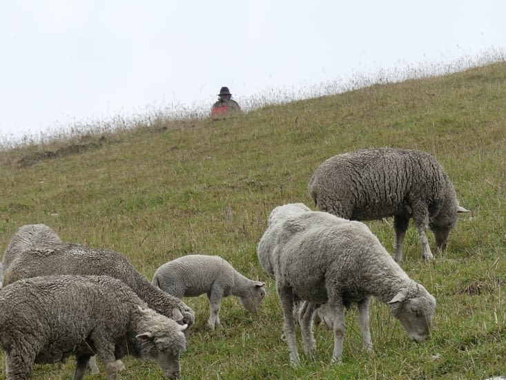 pas le seul à jouer à ce jeu