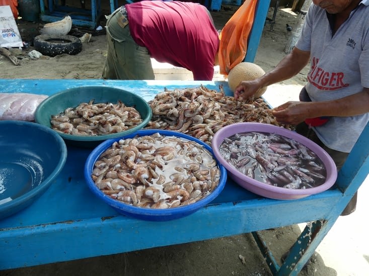 les crevettes du coin