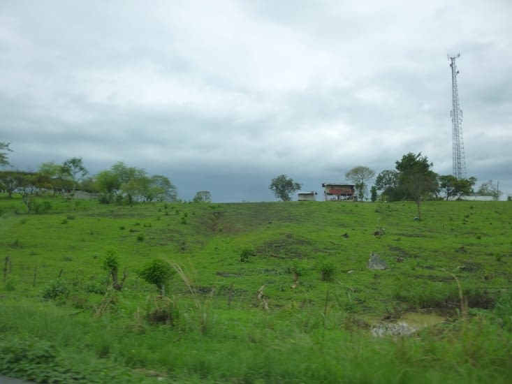 Notre route nous mène par une zone verdoyante car nous sommes dans la province du Guayas
