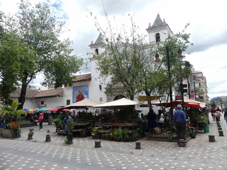 Le marché aux fleurs jouxte la cathédrale sur une petite place ornée d'une petite église.