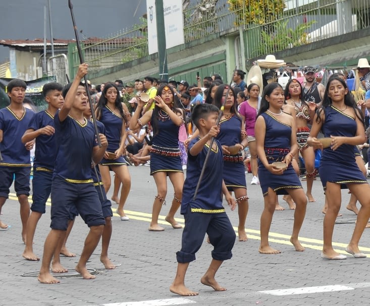 certains groupes restent dans les représentations traditionnelles de la forêt