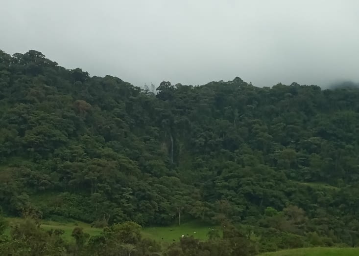 Nous sortons de la selva par une route unique qui nous amène à Quito.