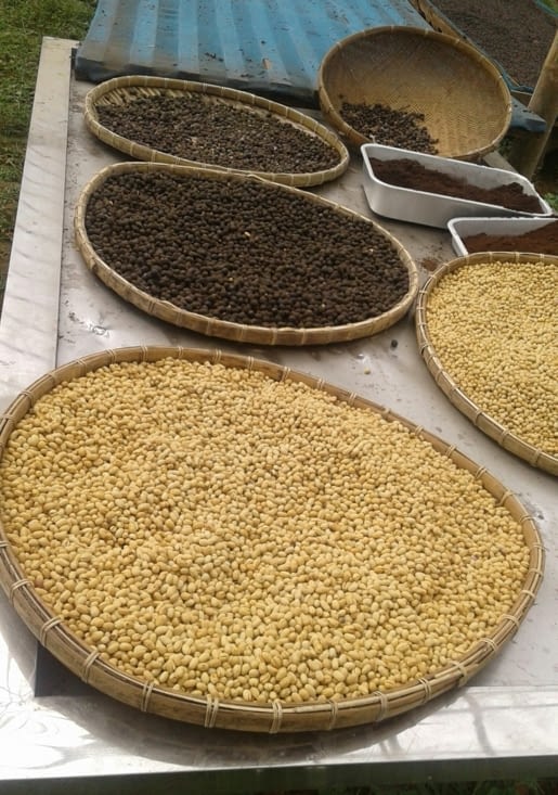 étapes  de la  préparation du café