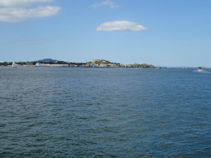 La vue depuis le port d'Auckland