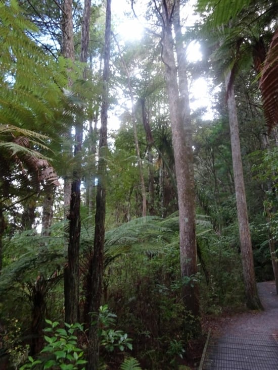 La végétation, on en est toujours aussi fan !
