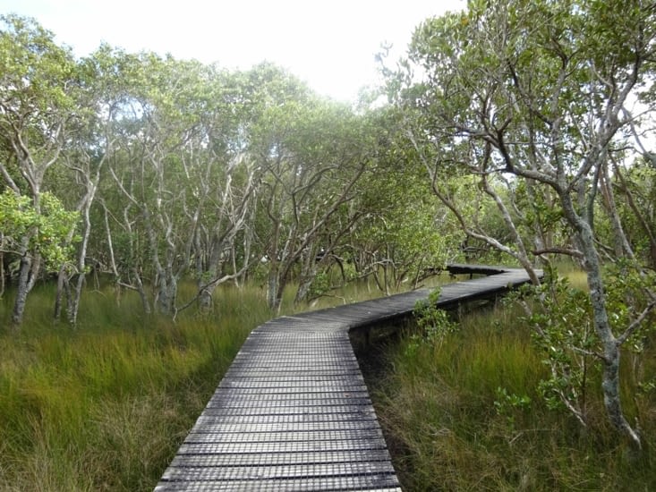 Le début de la rando