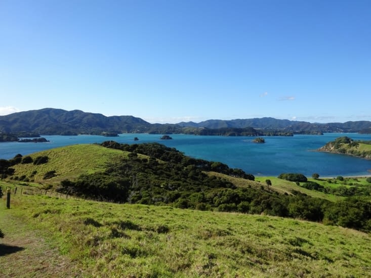 On ne sait plus où donner de la tête