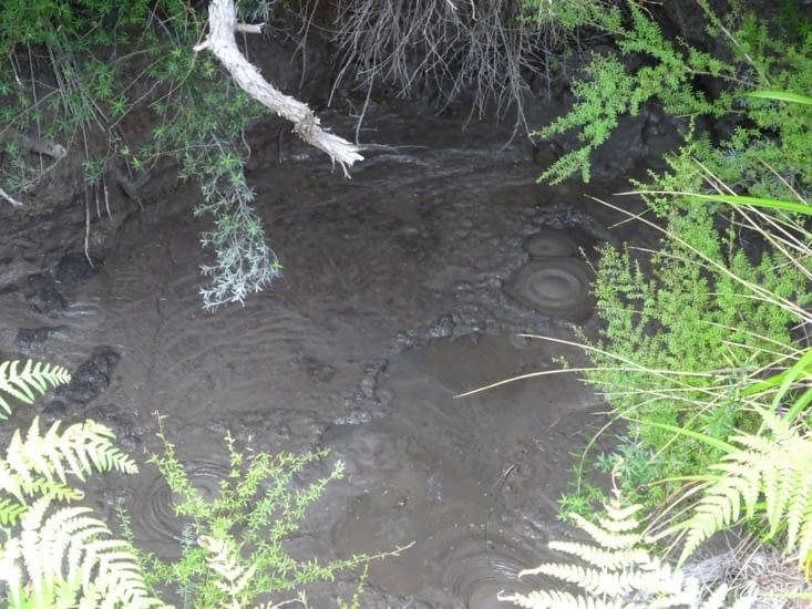La boue bouillonne aussi