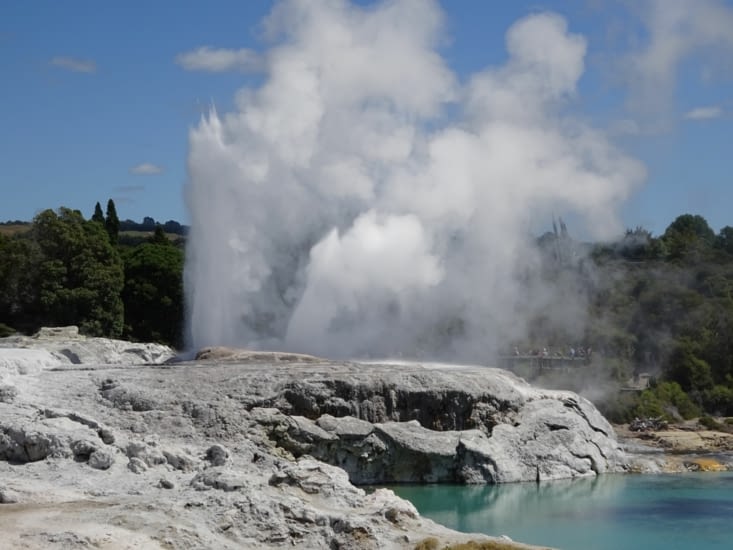 Le plus grand geyser de NZ est ici, environ 30-40m de haut, Il jaillit toutes les heures