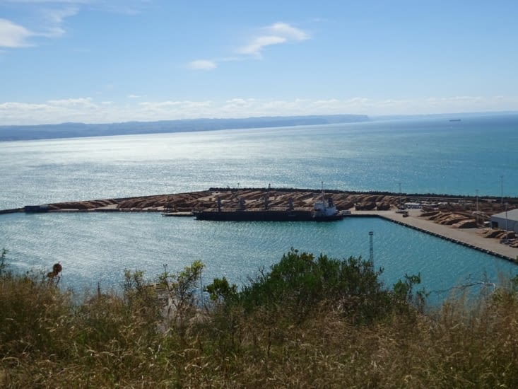 Vue sur le port ... De transport de bois !