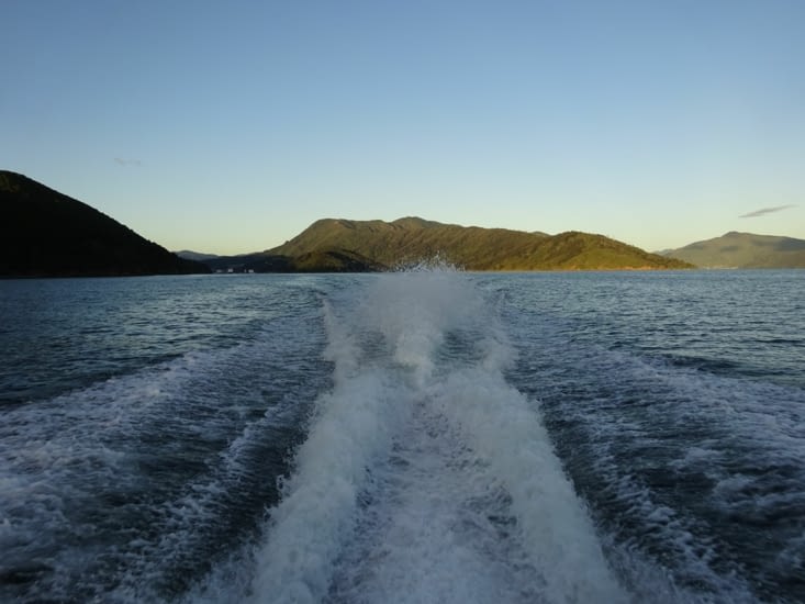 Départ de Picton avec le bateau taxi