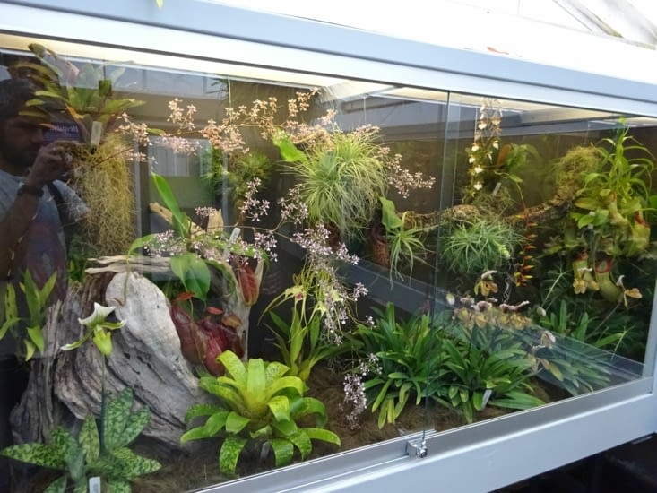 Il y en a pour tous les goûts