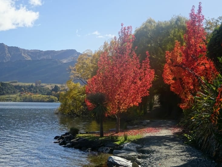 Et ces belles couleurs ...