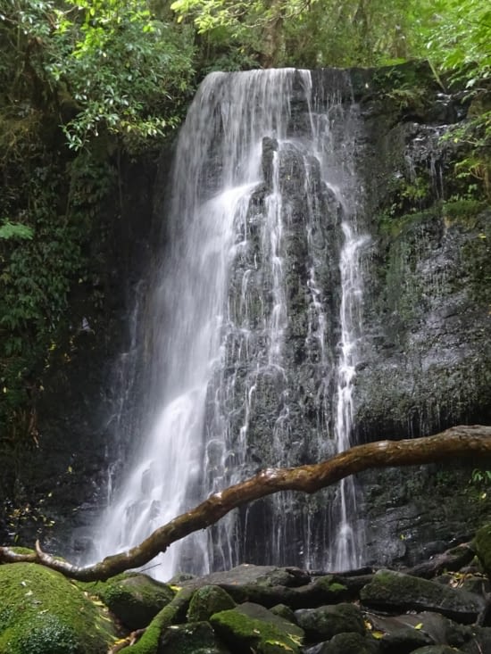 Matai falls