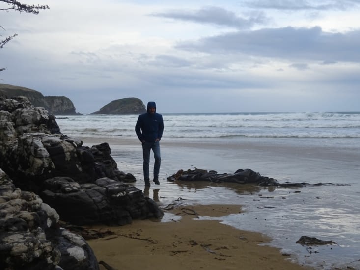 Oups, il s'est pris la vague ....