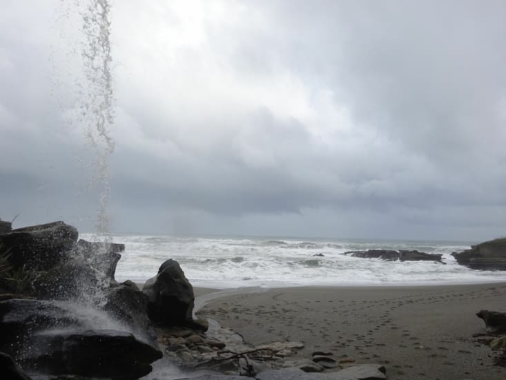 beauté de la nature