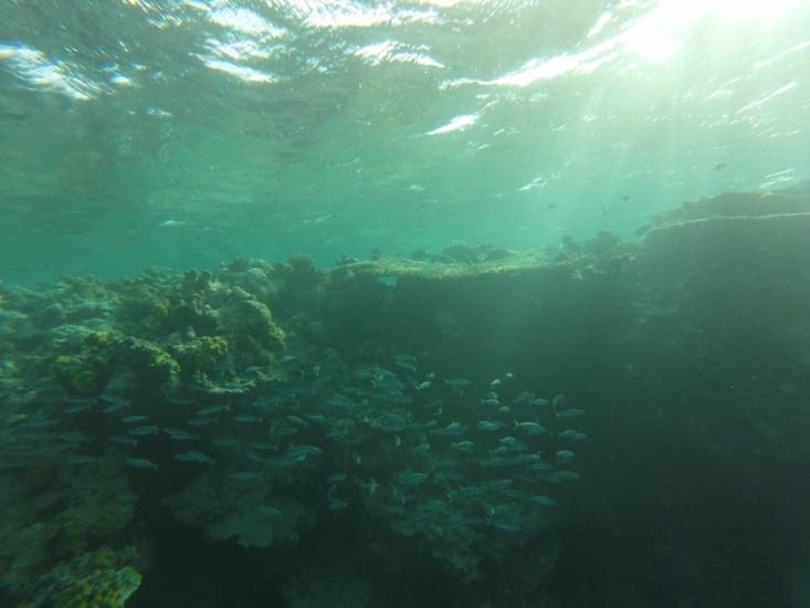 Juste à la surface..