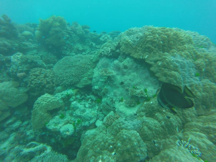 Super grand celui là !!