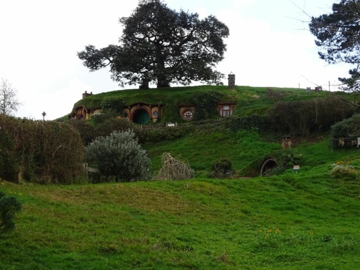 Cul de sac et le faux arbre