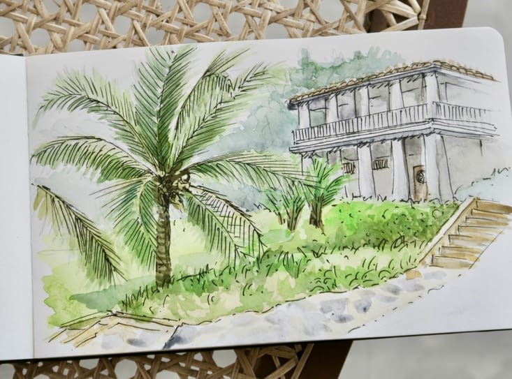 Première aquarelle. Des insectes viennent boire dans la palette !