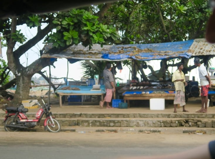 de Maël : marché aux poissons
