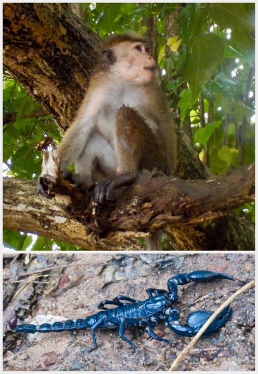 Rencontres : une sympa, l’autre beaucoup moins...