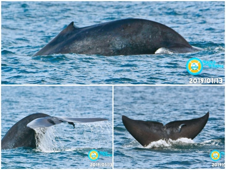 Respiration, plongeon