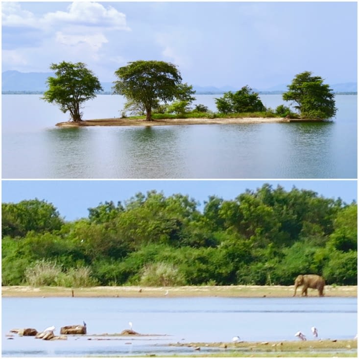 Avant d’entrer dans le parc, vue sur le grand lac... et déjà un éléphant !!